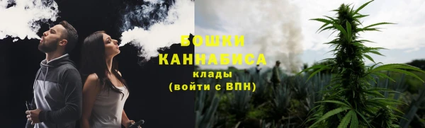 эйфоретик Няндома