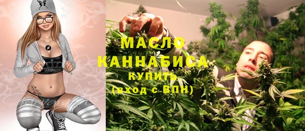 эйфоретик Няндома