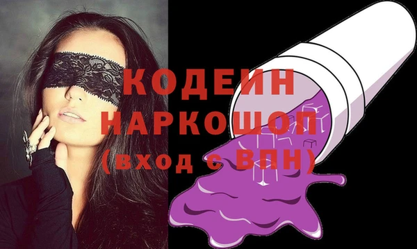 эйфоретик Няндома