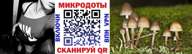 где продают Фрязино Псилоцибиновые грибы мухоморы